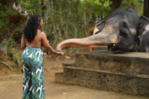 Feeding Pooja