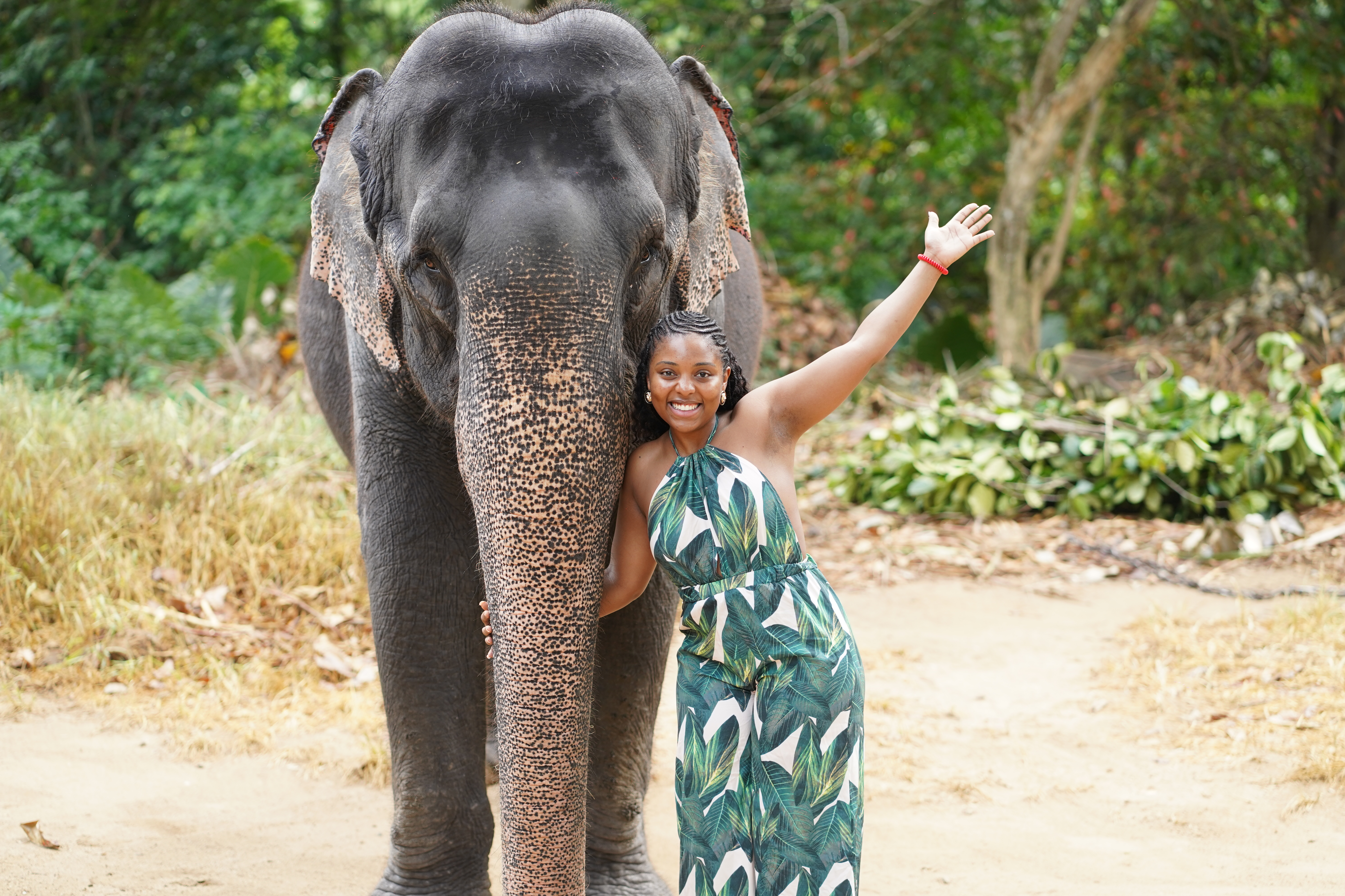 Meet Pooja, the first elephant born in captivity and now here at Millennium Elephant Foundation